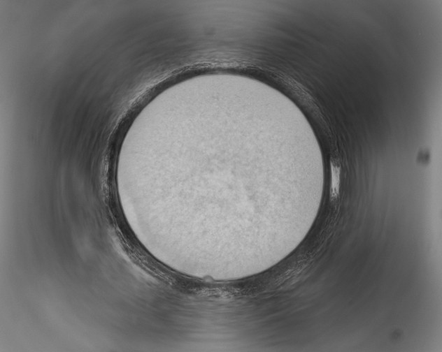 X0000114530627200911301139