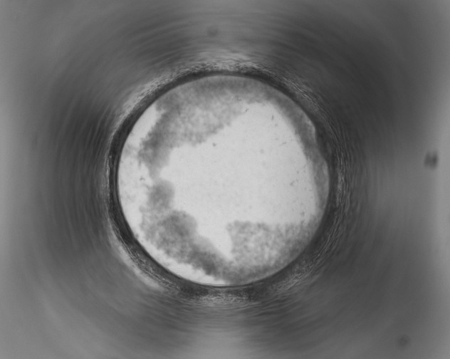 X0000114530630200911301139