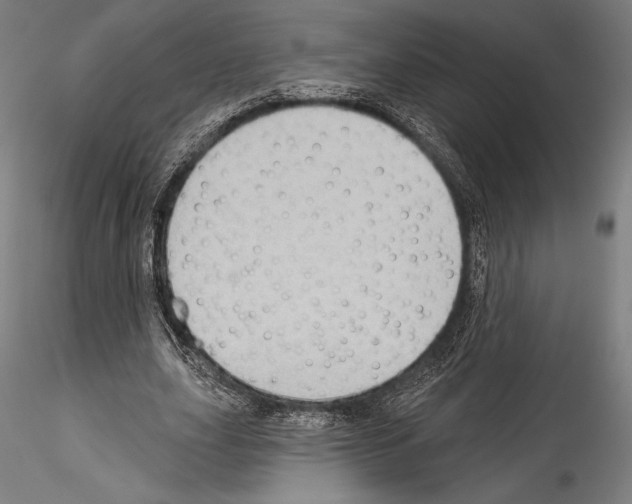 X0000114530631200911301139