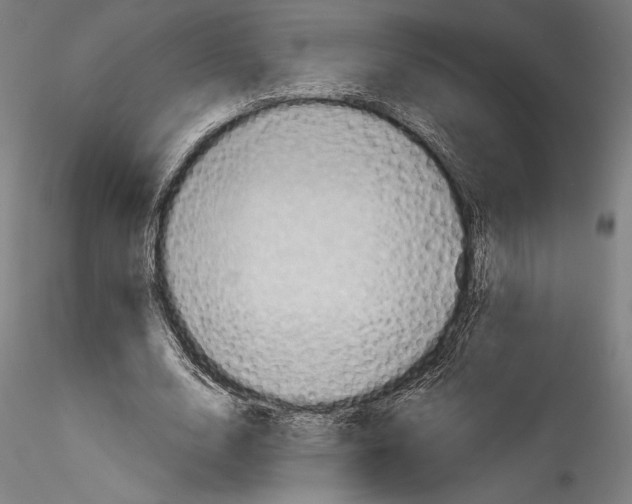 X0000114530632200911301139