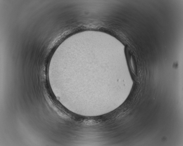 X0000114530634200911301139