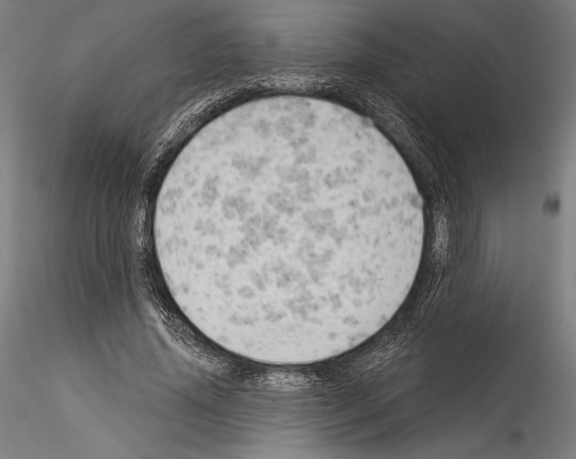 X0000114530636200911301139