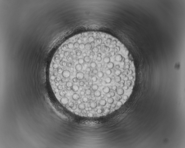 X0000114530638200911301139