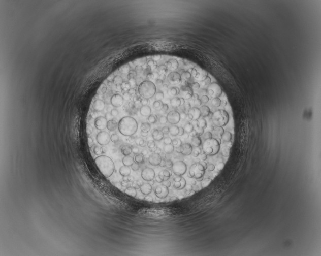 X0000114530639200911301139