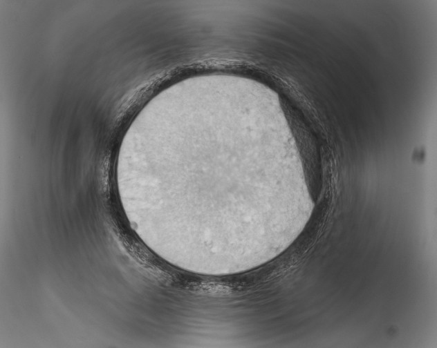 X0000114530640200911301139