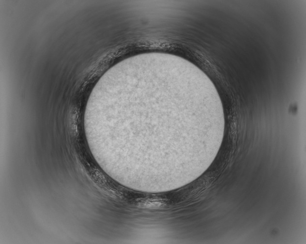 X0000114530643200911301139