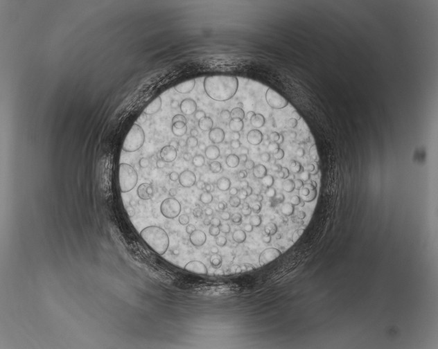 X0000114530646200911301139