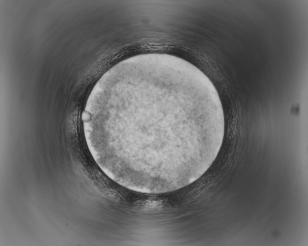 X0000114530647200911301139