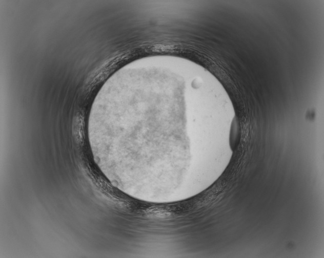 X0000114530648200911301139