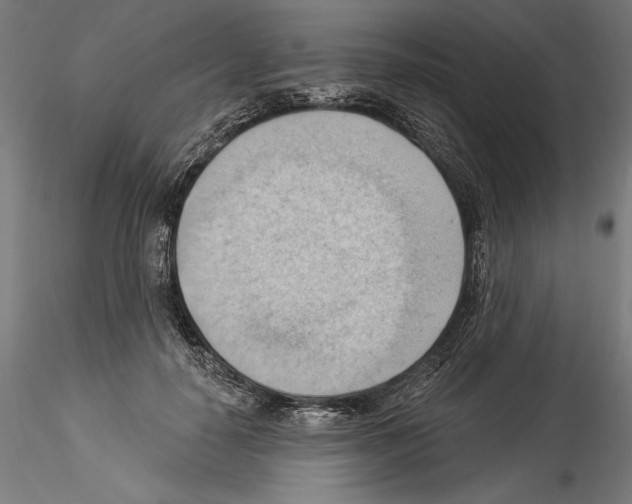 X0000114530650200911301140