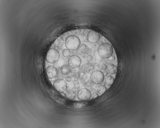 X0000114530662200911301140