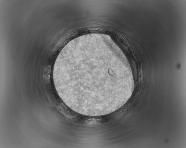 X0000114530664200911301140