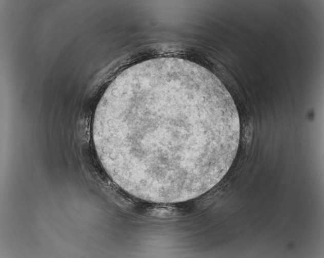 X0000114530666200911301140