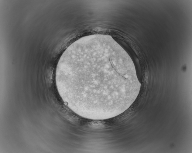 X0000114530668200911301140