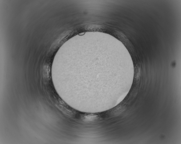 X0000114530669200911301140