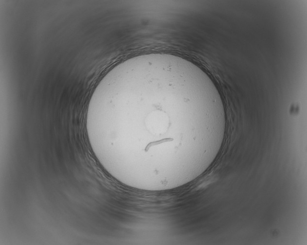 X0000114530672200911301140