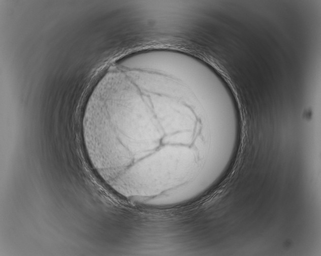 X0000114530673200911301139