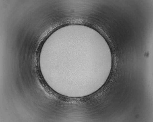 X0000114530674200911301139