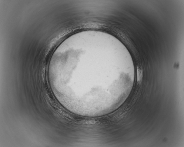 X0000114530675200911301139