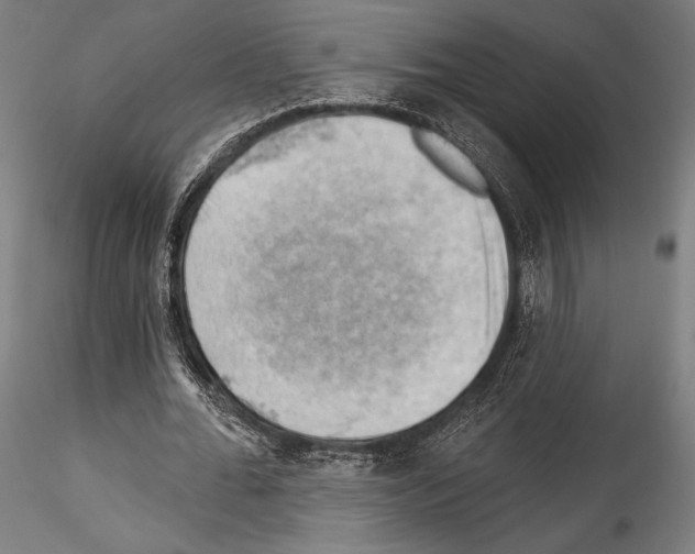 X0000114530676200911301139