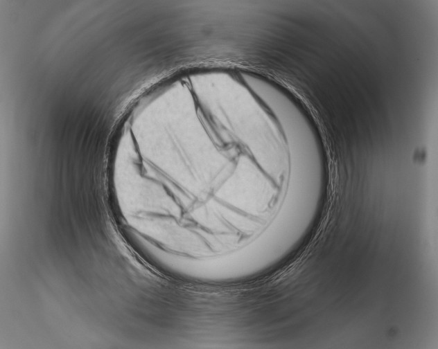 X0000114530677200911301139