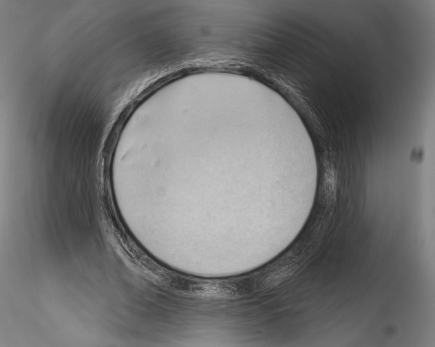 X0000114530678200911301139