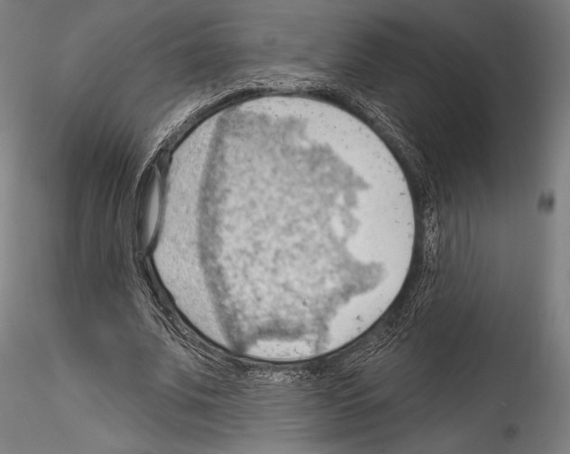 X0000114530679200911301139