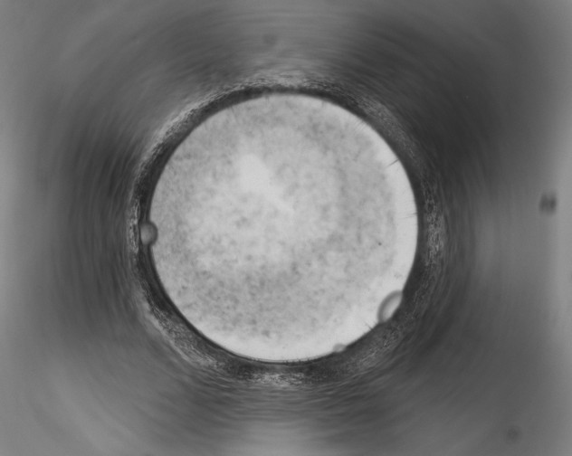 X0000114530680200911301139