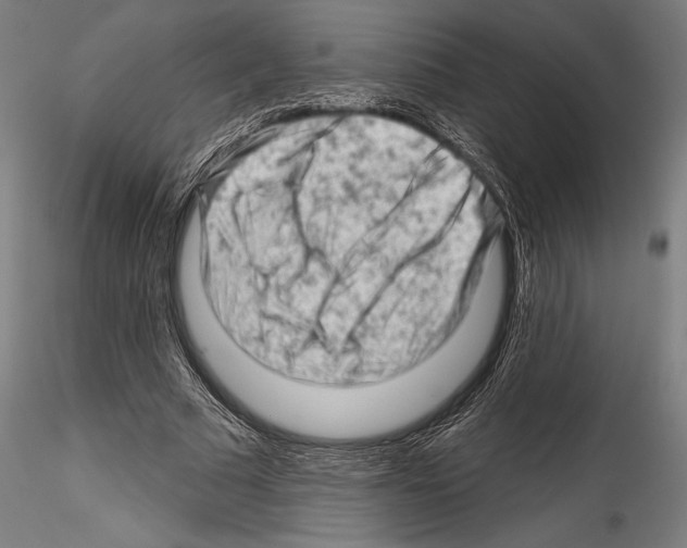 X0000114530681200911301139