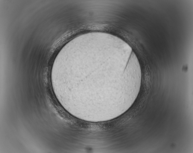 X0000114530682200911301139