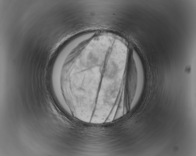 X0000114530684200911301139