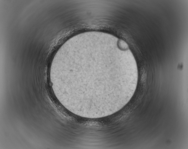 X0000114530685200911301139