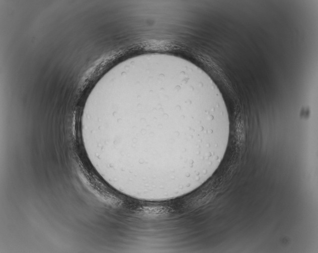 X0000114530686200911301139