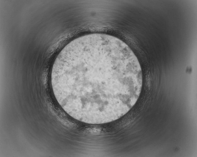 X0000114530687200911301139