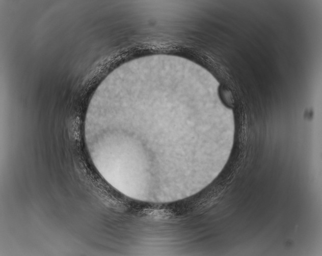 X0000114530689200911301139