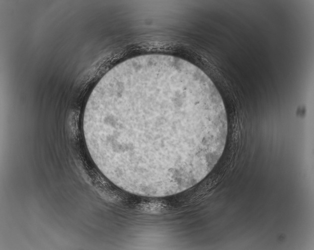 X0000114530695200911301139