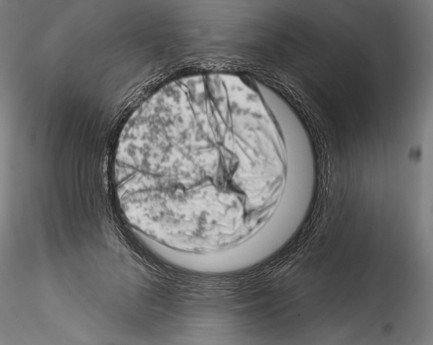 X0000114530696200911301139