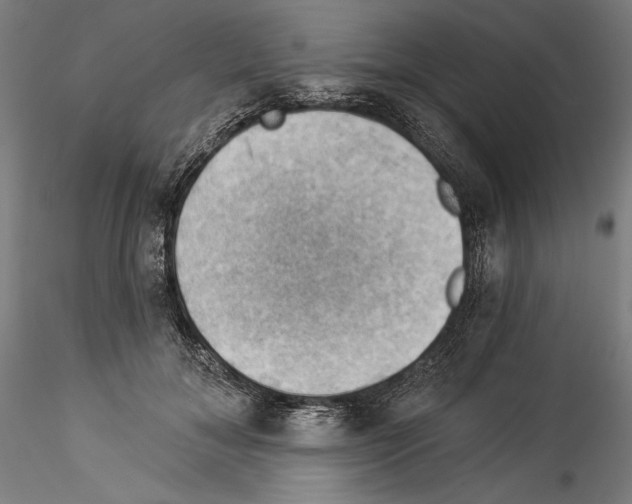 X0000114530700200911301139