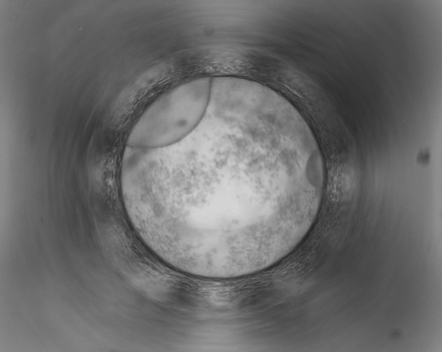 X0000114530701200911301139