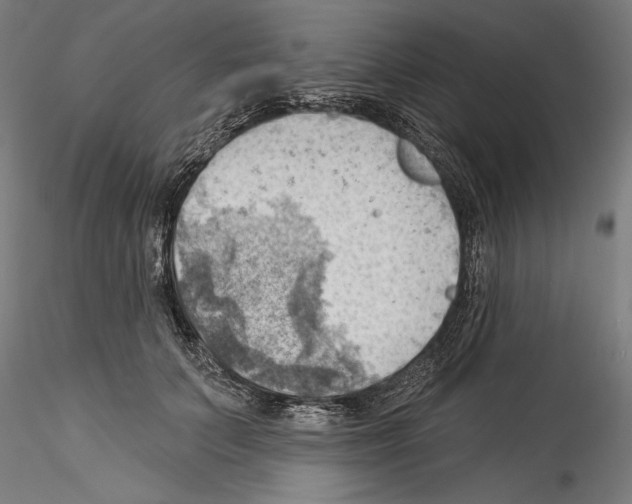 X0000114530703200911301139