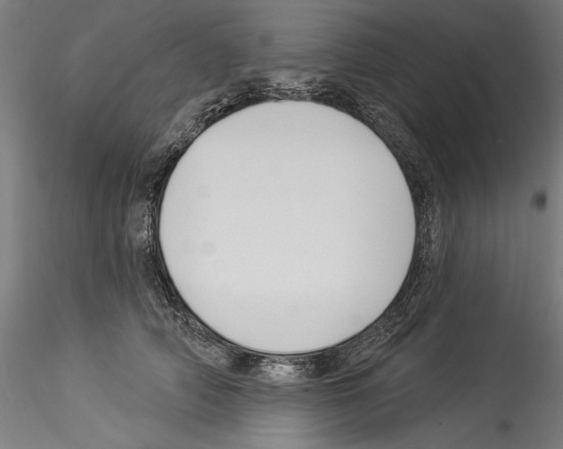 X0000114530706200911301139