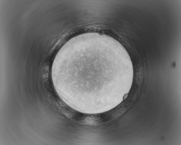 X0000114530708200911301139