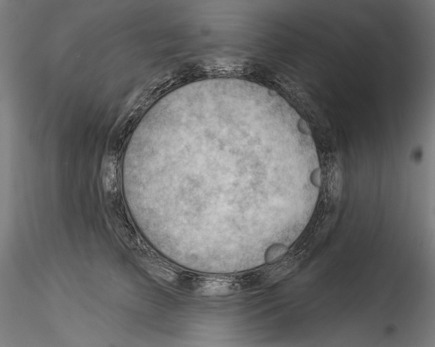 X0000114530709200911301139