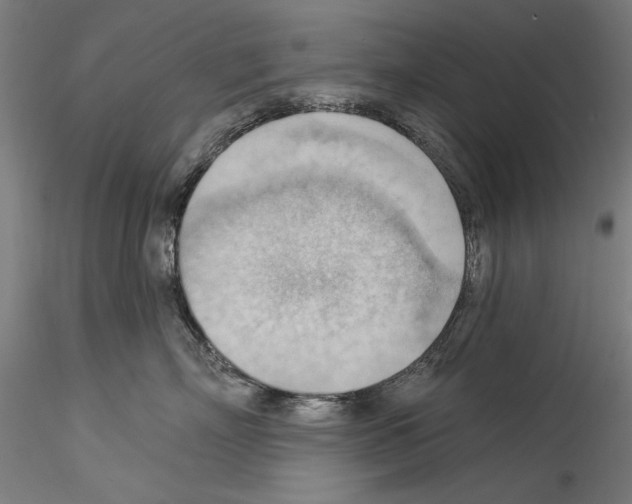 X0000114530718200911301139