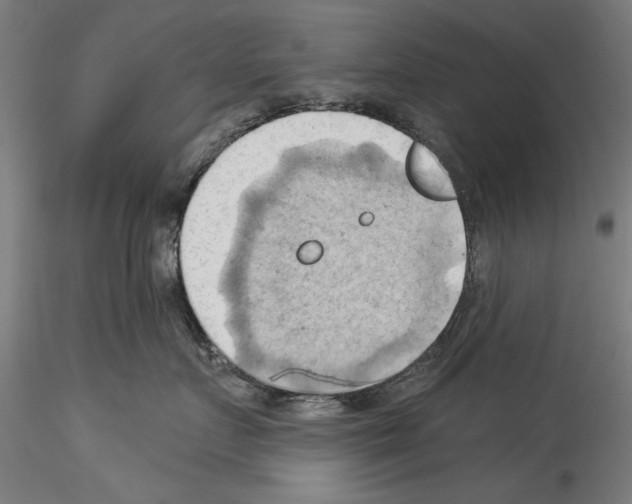 X0000114530719200911301139