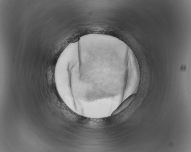 X0000114530720200911301139