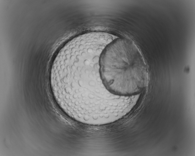 X0000114530721200911301138