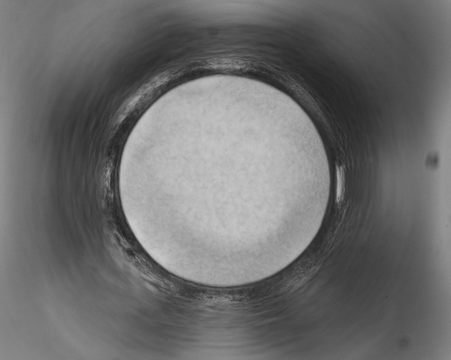 X0000114530723200911301138