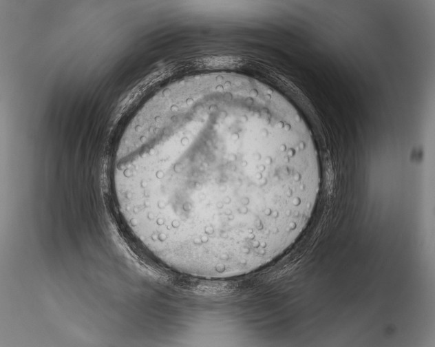 X0000114530725200911301138