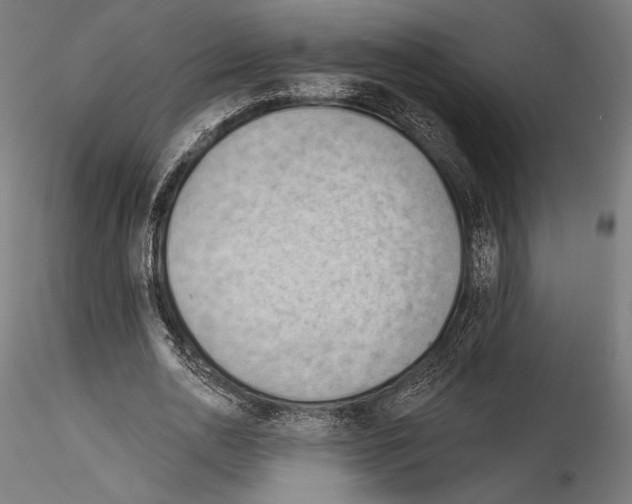 X0000114530726200911301138